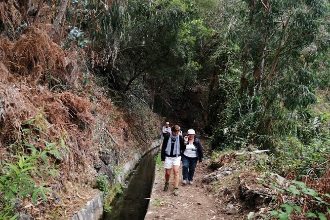 Hiking and Trekking Tours in Madeira - Reviews and Additional Information