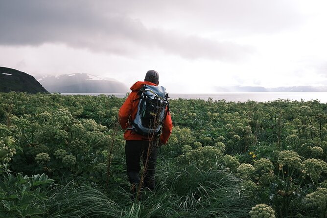 Hiking and Wakeboarding, Waterskiing Trip in Westfjords - Expert Guides