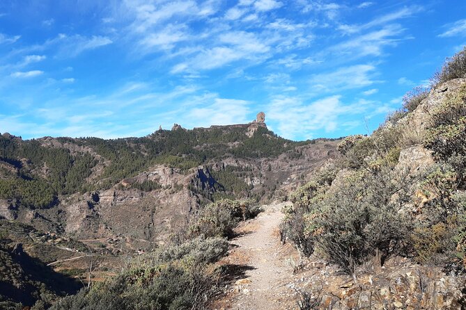 Hiking Experience in the North of Gran Canaria - Contact Information and Support