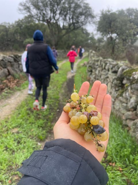 Hiking in Nature: Guided Paths Passing Through Marvão - Meeting Point Details