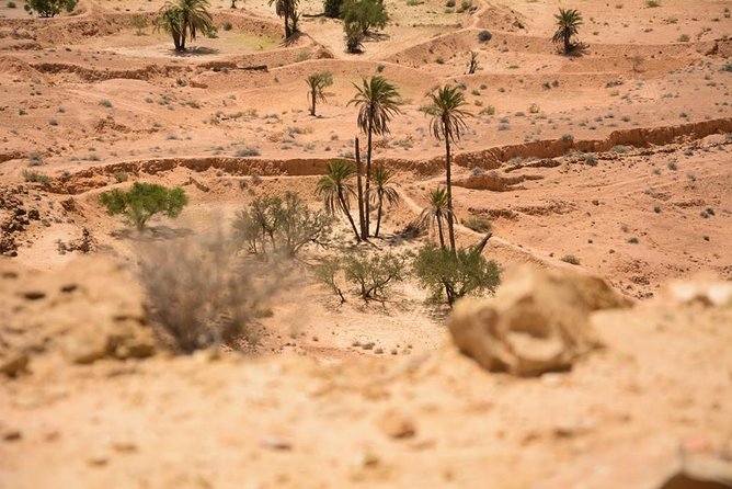 Hiking in the Berber Villages of Southern Tunisia - Viator Tour Details