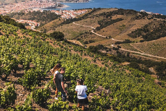 Hiking in the Vineyard in Banyuls-sur-Mer - Directions