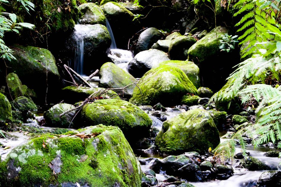 Hiking Levadas of Madeira: Levada Do Rei - Live Tour Guide and UNESCO Site