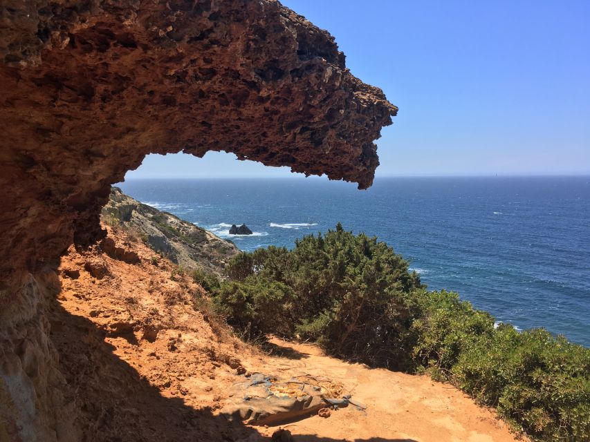 Hiking Tour Along the West Coastline - Customer Reviews and Recommendations