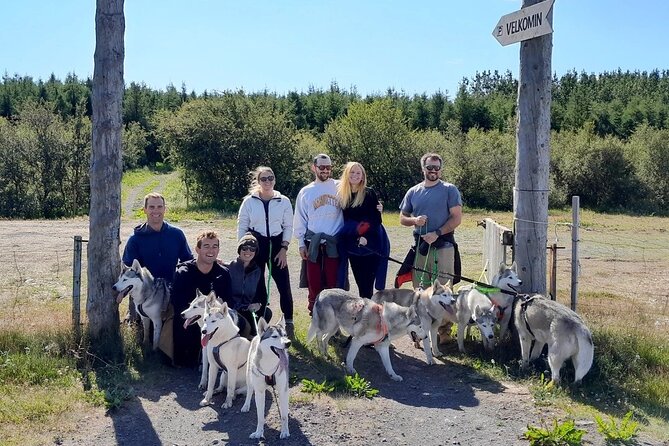 Hiking With Husky in Akureyri (Private) - Guest Experiences and Testimonials