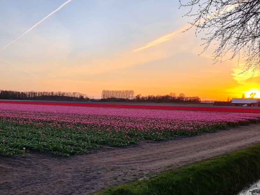 Hillegom: Guided E-Bike Tour at Sunset Near Keukenhof - What to Bring and Restrictions