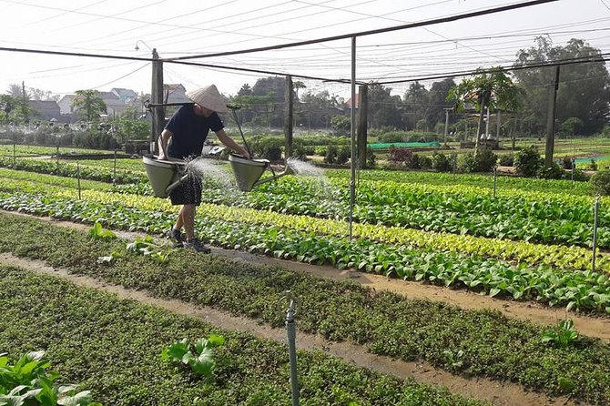 Hoi an Countryside Biking Tour(Vegetable Village -Basket Boat - Fishing Village) - Cancellation Policy