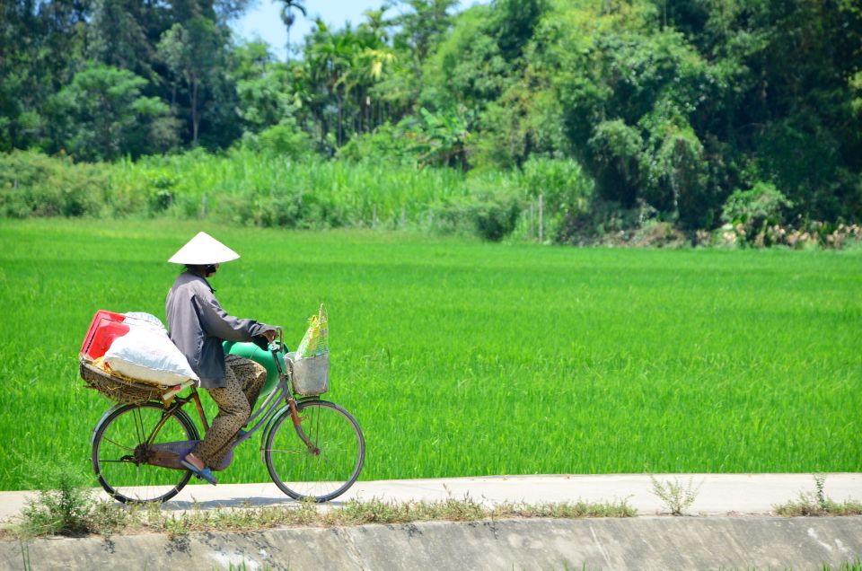 Hoi An: Cycling to My Son Sanctuary With Local Expert Guide - Customer Reviews