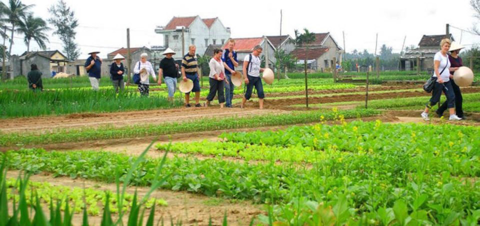 Hoi An: Tra Que Herb Village Cooking Class - Location Information