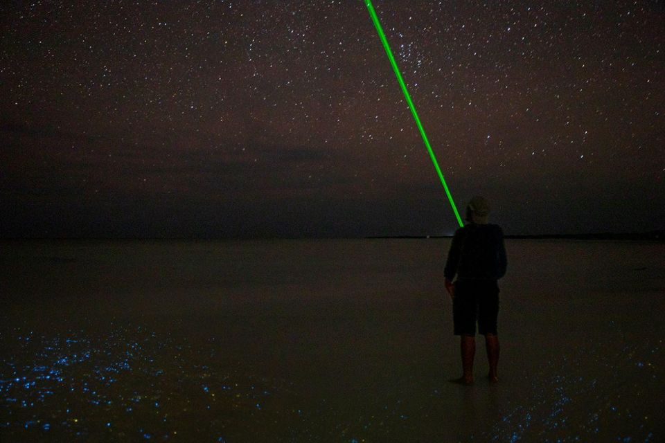 Holbox: Guided Bioluminescence Kayaking Tour - Last Words