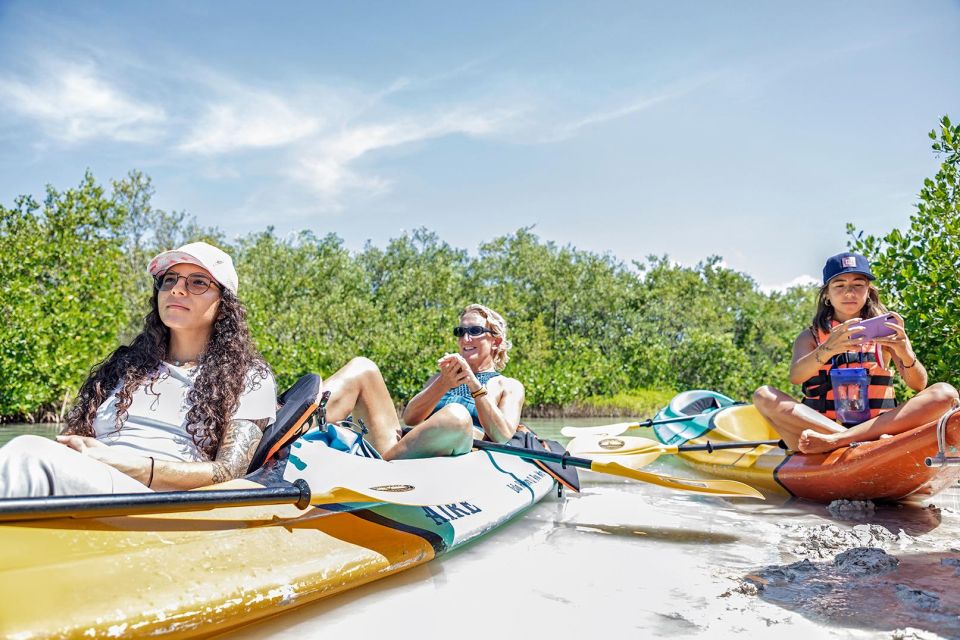 Holbox: Guided Kayaking Through Holbox's Mangroves - Inclusions