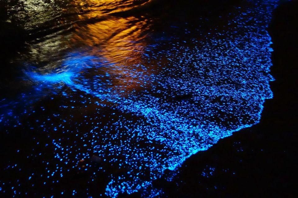 Holbox: Private Bioluminescence Beach Tour by Golf Cart - Secure Your Spot
