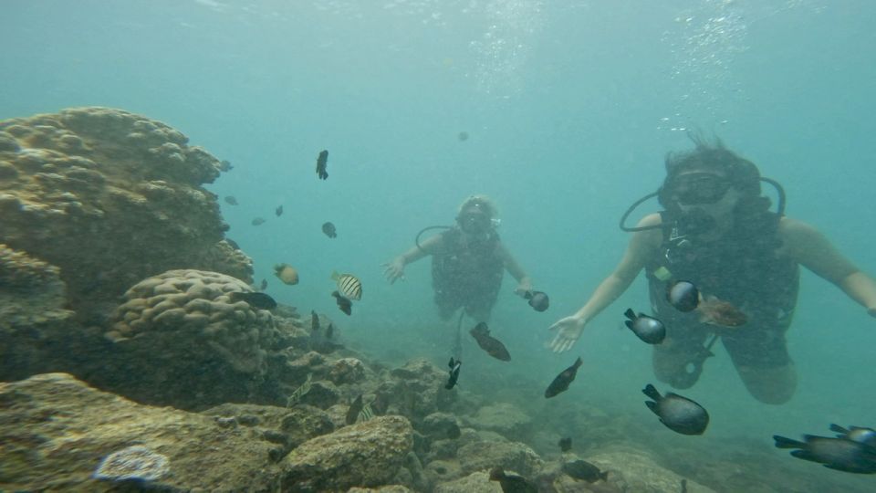 Honolulu: Beginner Scuba Diving Tour With Free Videos - Additional Information