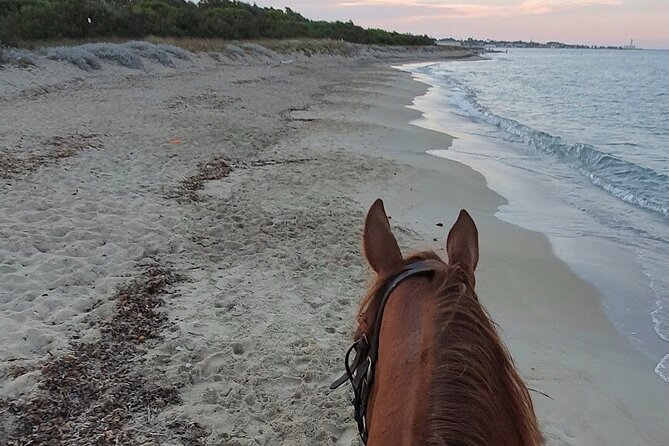 Horse Ride in a Salento Nature Reserve With Transfer From Lecce - Cancellation Policy