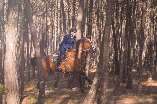 Horse Riding in the Countryside - Tips for a Memorable Horse Riding Experience