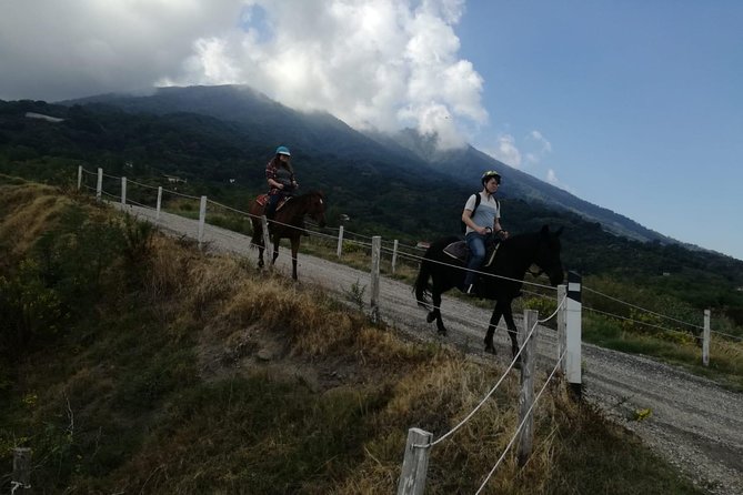 Horse Riding on Vesuvius - Cancellation Policy Details