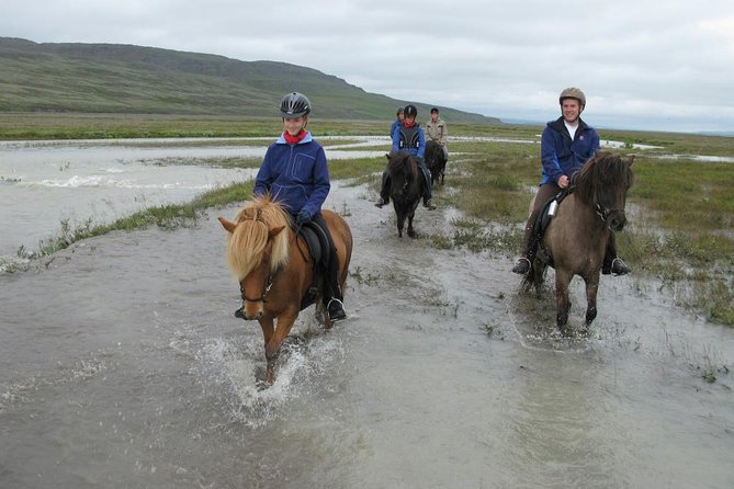 Horse Riding Tour to the Glacier River Delta With Waterfall - Cancellation Policy and Reviews