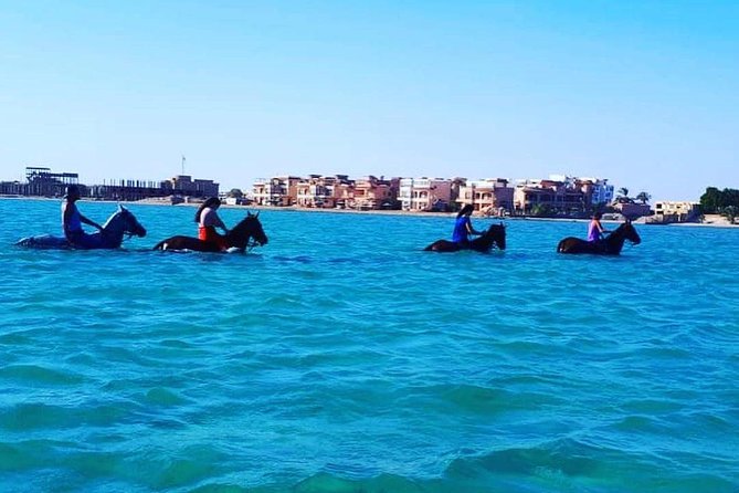 Horse Riding Tour Two Hours Sun & Sea With Transfer - Hurghada - Additional Tour Details