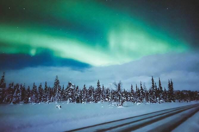 Horse Sleigh Ride Under The Night Sky in Apukka Resort, Rovaniemi - Cancellation Policy and Additional Info