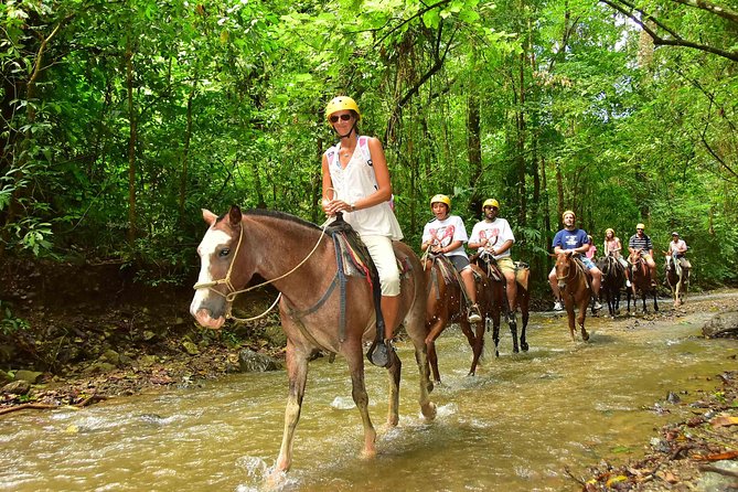 Horseback Natural Pool Adventure in Jaco Beach and Los Suenos - Traveler Experience Insights