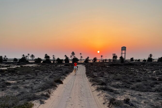 Horseback Riding at Sunrise 3h - Traveler Photos