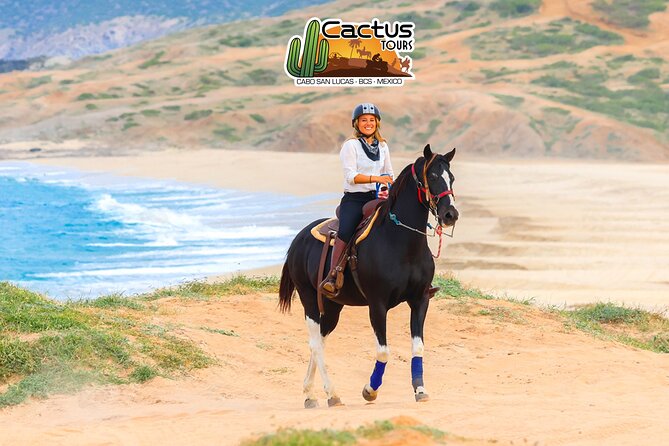 Horseback Riding Beach and Desert in Cabo by Cactus Tours Park - Reviews and Special Offer