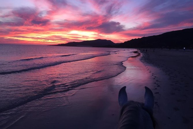Horseback Riding by the Beach or Mountain in Tarifa, Spain - 1 to 2 Hrs - Weather Considerations