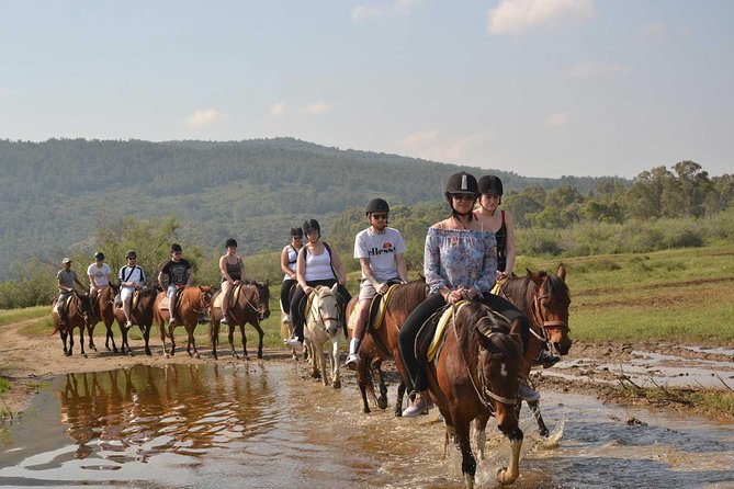 Horseback Riding From Kusadasi Port / Hotels - Cancellation Policy
