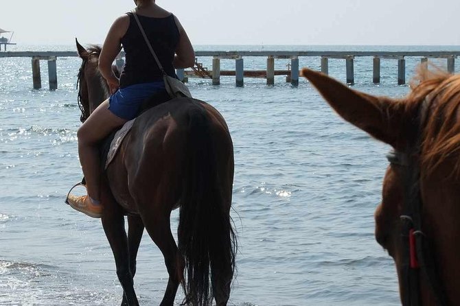 Horseback Riding in Bodrum - Booking Process