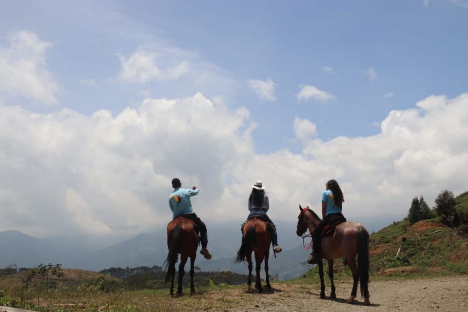 Horseback Riding in the Beautiful Mountains of Medellin - Customer Review