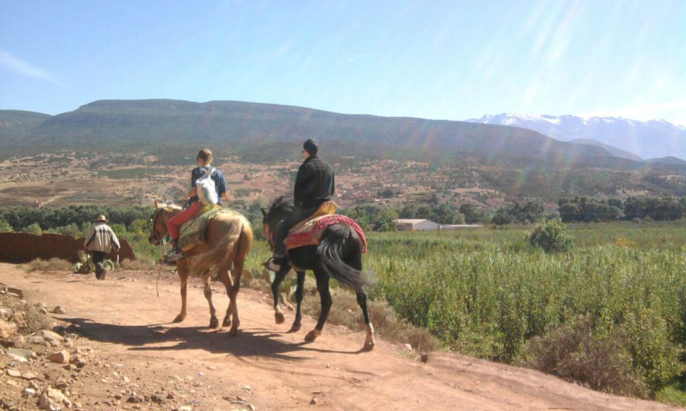 Horseback Riding in the High Atlas Mountains With Overnight - Activity Details