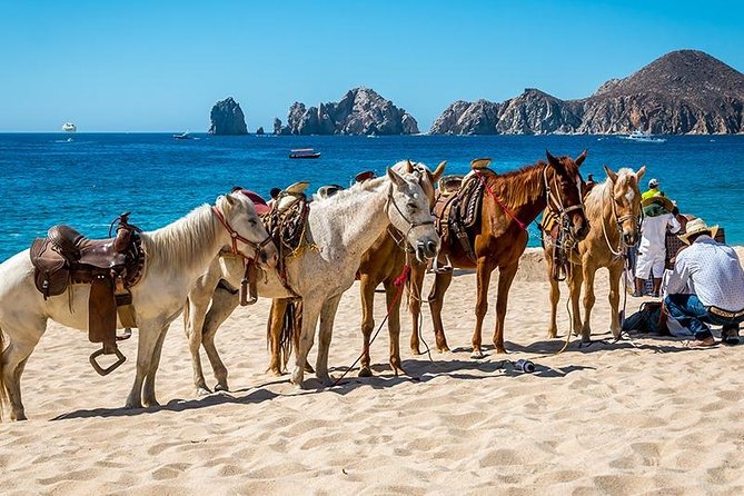 Horseback Riding on The Beach and Through The Desert! - Requirements and Recommendations