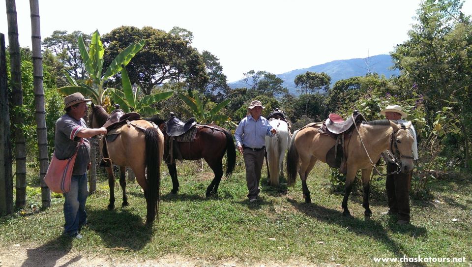Horseback Riding Tour and Visit to Tablón, Chaquira, Pelota - Pickup Details and Group Size