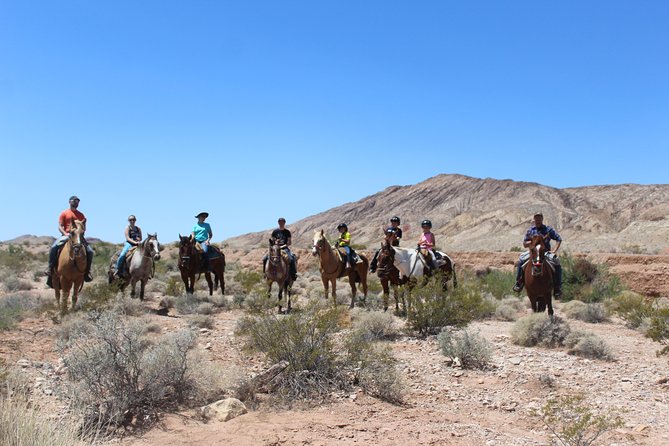 Horseback Riding Tour in Las Vegas - Trail Experience
