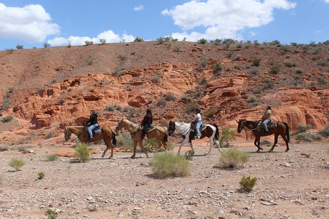 Horseback Riding Tour W/ BBQ Lunch in Vegas - Reviews and Feedback