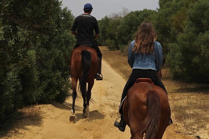 Horseback Riding With Private Transfer - Customer Feedback and Reviews Analysis