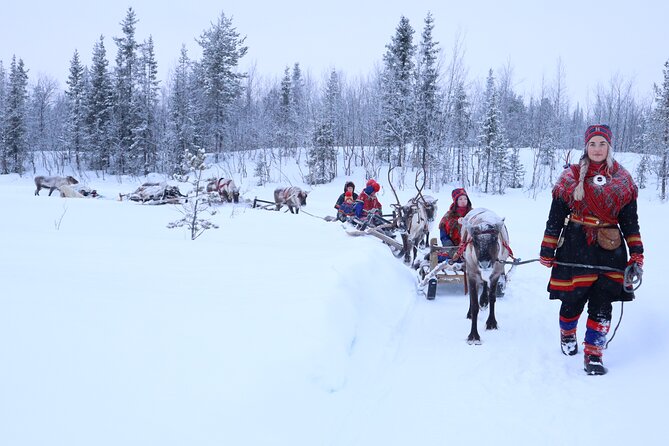 Hunt for Auroras by Reindeer Sled in Kiruna (Apr ) - Practical Information and Booking Details