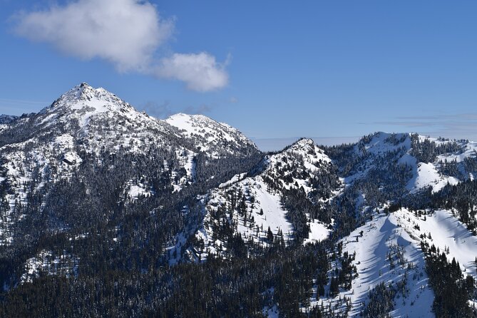 Hurricane Ridge Guided Snowshoe Tour in Olympic National Park - Contact Information and Terms