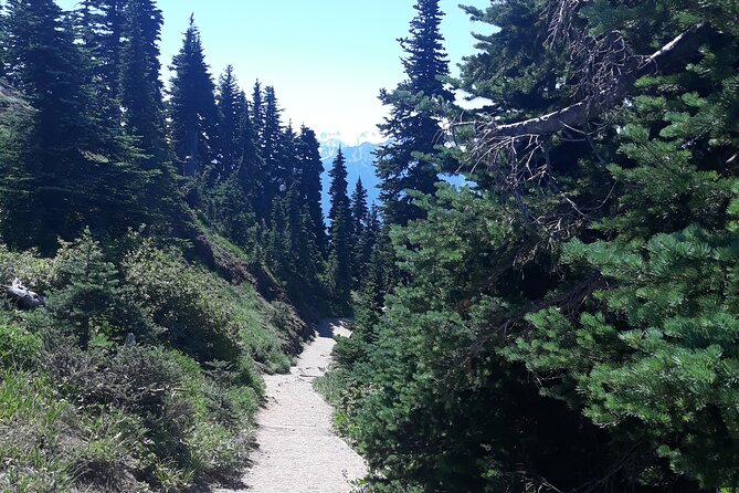 Hurricane Ridge Olympic National Park From Seattle - Helpful Resources