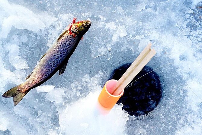 Ice Fishing Adventure in Levi With Salmon Soup - Last Words