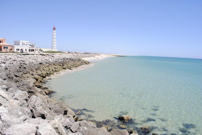 Ilha Deserta and Farol Island: a Small Group Boat Trip in Ria Formosa From Faro - Tour Guides