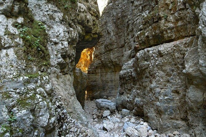 Imbros Gorge Hiking From Chania - Flora and Fauna Spotting