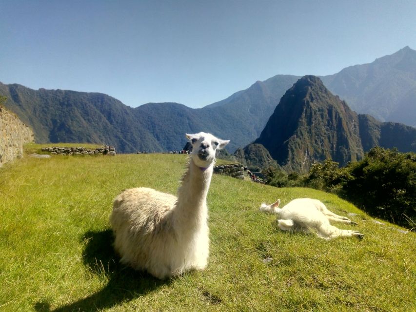 Inca Jungle to Machu Picchu - Participant Information