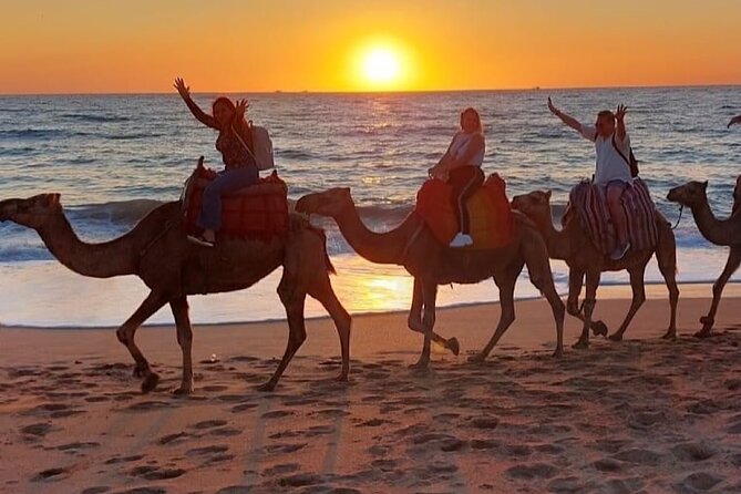 Inclusive Beach Camel Ride, Cap Spartel, Hercules & Full Dinner - Authentic Dinner Experience