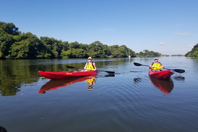 Indian River Clear Bottom Kayak or Paddleboarding Manatee and Dolphin Tour - Common questions