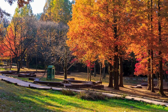 Instagrammable Autumn Foliage Tour From Seoul - Instagrammable Spots