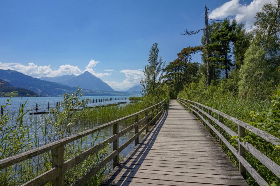 Interlaken: Capture the Most Photogenic Spots With a Local - Last Words