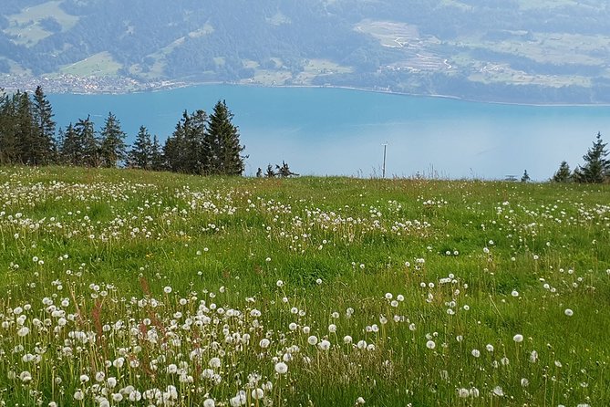 Interlaken Private Trip - Lake Brienz, Brienzer Rothorn Summit - Additional Information