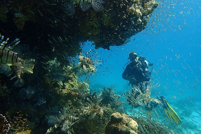 Intro Diving 2 Stops for Beginners With Pick-Up and Lunch - Hurghada - Diving Experience Highlights