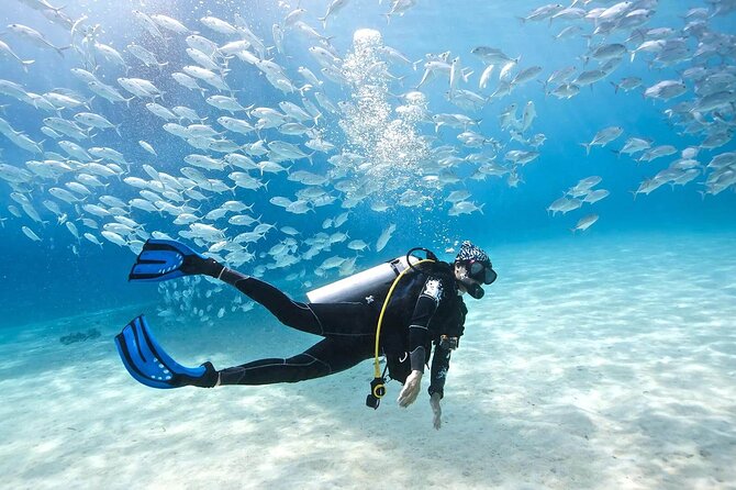 Intro Diving for Beginners 2 Stops Diving With Lunch in Hurghada - Booking Information